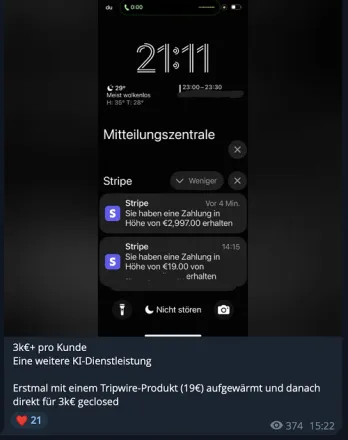 Customer review (screenshot)