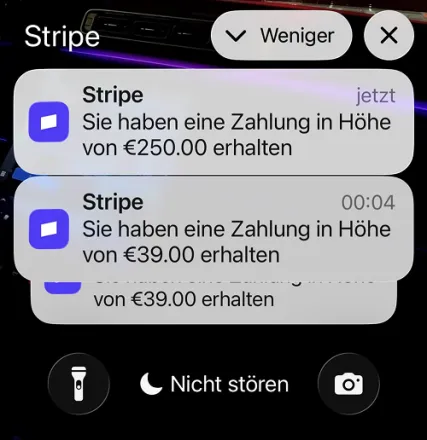 Customer review (screenshot)